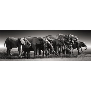 Animals Herd of Giants Elephant 1000 pieces panoramic Compact puzzle Clementoni