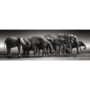 Elephant Herd of Giants 1000-piece panorama puzzle Clementoni