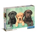 Animals Three Labs Dog 1000-piece puzzle Clementoni