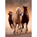 Horses Gallop 1000-piece Clementoni puzzle