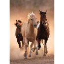 Horses Running 1000 piece Clementoni puzzle