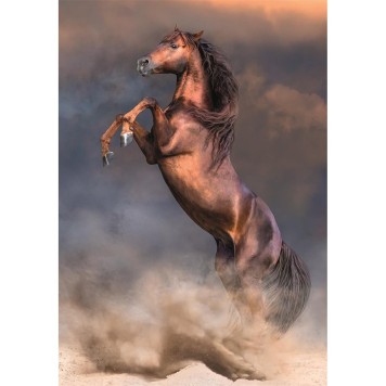 Horses Wild Stallion 500 piece Compact jigsaw Clementoni