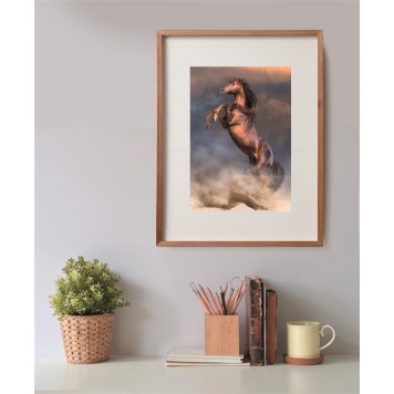 Horses Wild Stallion 500-piece puzzle Clementoni