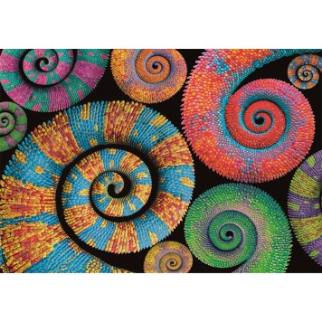 Colour Curly Tails 500 pcs Compact Puzzle Clementoni