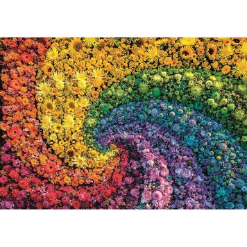 Colour Whirl flowers 1000-piece Compact puzzle Clementoni