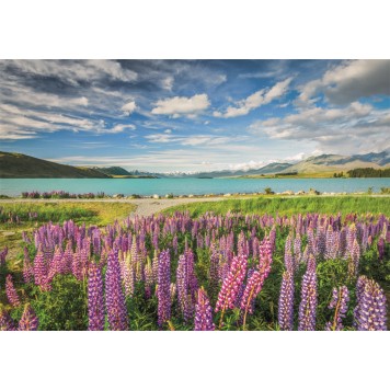Cities Lake Tekapo New Zealand 1500-piece puzzle Clementoni