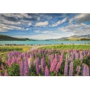 Cities Lake Tekapo New Zealand 1500-piece puzzle Clementoni