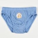 Bluey Fun children's underwear, bottoms 3 pieces/pack 3 - 6 years / 98 - 116 cm