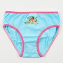 Disney Princess Summer children's underwear, panties 3 pieces/package 3 - 8 years / 98 - 128 cm