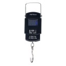 Waga hakowa / ręczna max. 50 kg KD11413