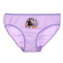 Disney Frozen children's underwear, panties 3 pieces/package 3/4 years