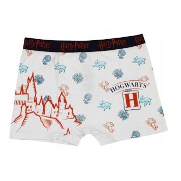 Harry Potter children's boxers 2 pieces/package 10/12 years