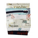 Harry Potter children's boxers 2 pieces/package 10/12 years