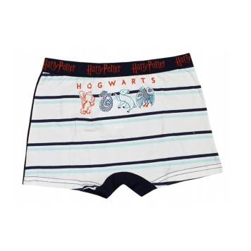Harry Potter children's boxer shorts 2 pieces/pack 8/10 years