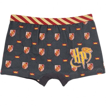 Harry Potter children's boxer briefs 2 pieces/pack 6/8 years