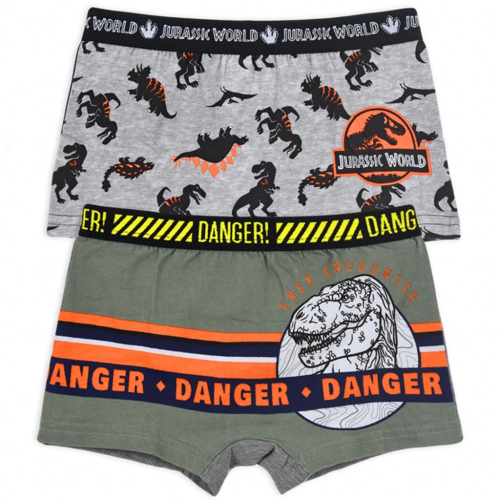 Jurassic World kids' boxer shorts 2 pieces/pack 2/3 years