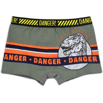 Jurassic World kids' boxer shorts 2 pieces/pack 2/3 years