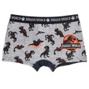 Jurassic World kids boxer briefs 2 pieces/pack 4/5 years