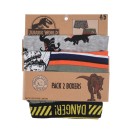 Jurassic World kids boxer briefs 2 pieces/pack 4/5 years