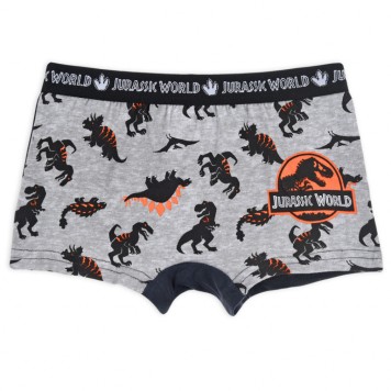 Jurassic World kids' boxer shorts 2 pieces/pack 6/8 years