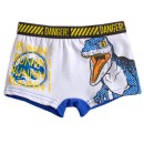 Jurassic World kids' boxer shorts 2 pieces/pack 2/3 years