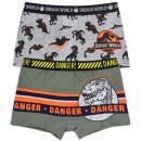 Jurassic World children's boxer shorts 2 pieces/pack