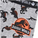 Jurassic World children's boxer shorts 2 pieces/pack