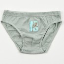 Jurassic World Raptor children's underwear, 3 pieces/pack, 3 - 8 years / 98 - 128 cm