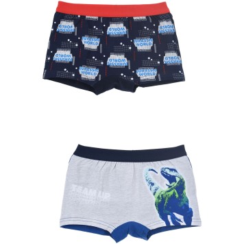 Jurassic World kids boxer shorts 2 pieces/pack