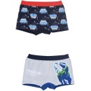 Jurassic World kids boxer shorts 2 pieces/pack