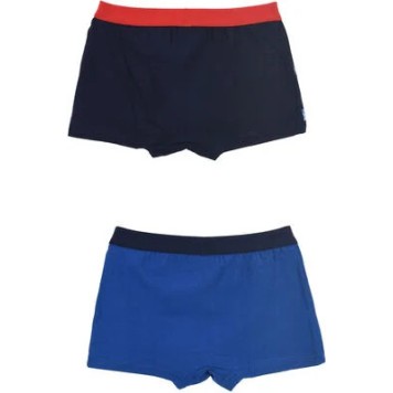 Jurassic World kids boxer shorts 2 pieces/pack