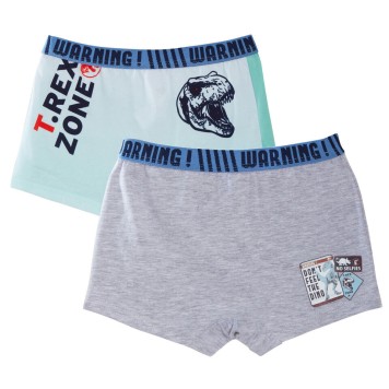 Jurassic World children's boxer shorts 2 pieces/package