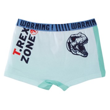Jurassic World children's boxer shorts 2 pieces/package