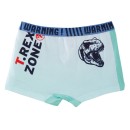 Jurassic World children's boxer shorts 2 pieces/package