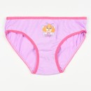 Paw Patrol Butterfly children's underwear, panties 3 pieces/pack 3 - 4 years / 98 - 104 cm