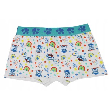 Paw Patrol children's boxer shorts 2 pieces/pack 4/5 years