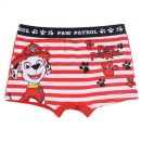 Paw Patrol children's boxer shorts 2 pieces/pack 2/3 years