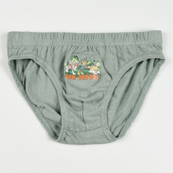 Paw Patrol Forest  children's underwear, panties 3 pieces/set 4 - 5 years / 104 - 110 cm