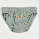 Paw Patrol Forest children's underwear, bottoms 3 pieces/package 5 - 6 years / 110 - 116 cm