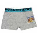 Paw Patrol kids' boxer shorts 2 pieces/package 2/3 years