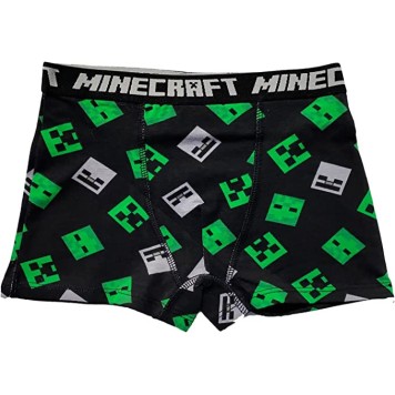 Minecraft children's boxer briefs 2 pieces/pack