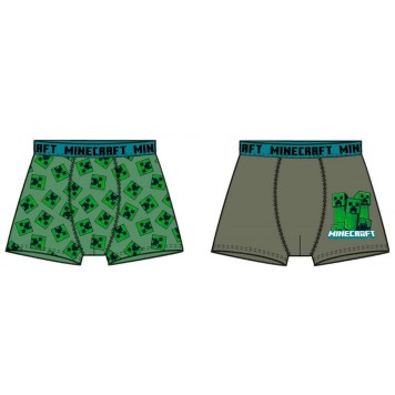 Minecraft kids' boxer briefs 2 pieces/pack 10 years