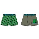 Minecraft children's boxer shorts 2 pieces/pack 6 years