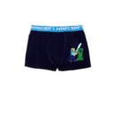 Minecraft kids boxer shorts 2 pieces/package 12 years