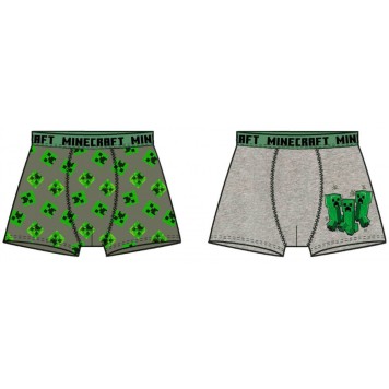 Minecraft children's boxer shorts 2 pieces/package 12 years old