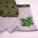Minecraft kids' boxer shorts 2 pieces/pack 6-12 years