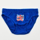 Spiderman Checked children's underwear, bottom 3 pieces/pack 3-4 years / 98 - 104 cm