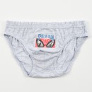 Spiderman Checked children's underwear, bottom 3 pieces/pack 3-4 years / 98 - 104 cm