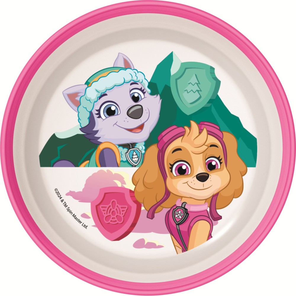 Paw Patrol Superpowers non-slip micro deep plate