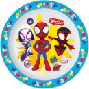 Paw Patrol Team Spider-Man Spidey micro flat plate 22 cm